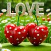 waheed.ali0930