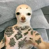 _nixcualb_