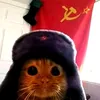 russia6433