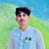 waqarahmad8695