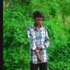 bdkinh113