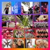 eviengelsxx16