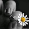 malak63051