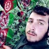 mohebbibi
