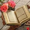 user13615375459234