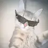 justcurious1st