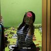 rehann0206