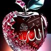 user1293288577825