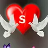 sahar.hamed65
