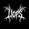 liops_cars