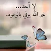 user7665632744491