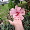 ester.rojas58
