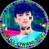 fulllewane302i