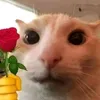 martushka___