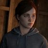 newt0430
