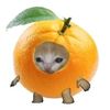 mandarina_china