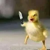 pedroeryck798