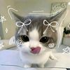 liyana_fns.sera