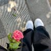 amna.mahmoud043