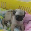 jess.emma62