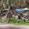 wong.biasa1283