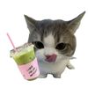 meowment.s