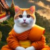 Monkcat(พระแมว)