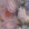 bilii677