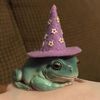 man.i.love.frogs31