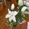 rosa.cuero86