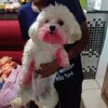 gabriell_carvalho7