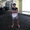 gentogangmawar