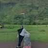 sintya.vinca