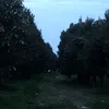ngocduck02
