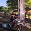 glmaxputih