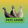 Pets Lover