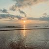 faizawasheree_