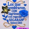 lore73651