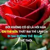 tamta406