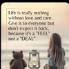 fathimaaysha9295