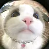 hl_nhaphuong13