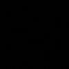 sinta2c1