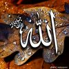 muneebhuseeb369