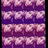 aidahh550