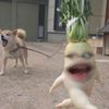 simpych4rlott