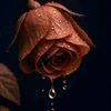_dark_soul_7