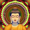 user5702408570971