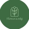 flowera.mlg