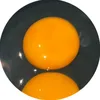 dichxi1