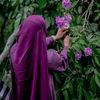 suraiya.snigdha.n